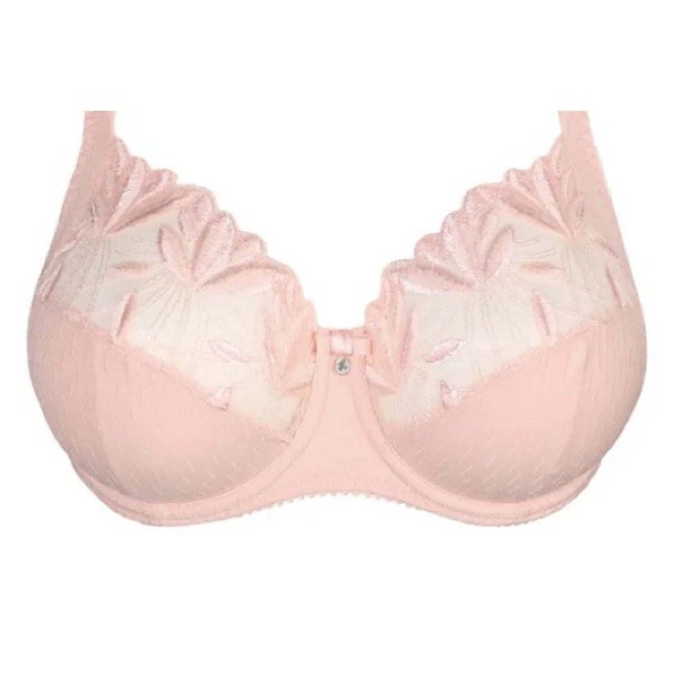 Prima Donna bra